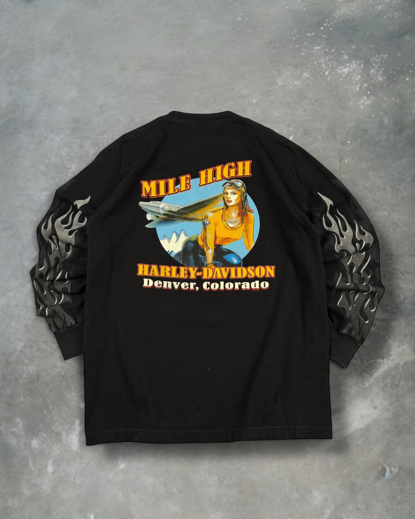 ‘06 Crome Flame Harley Davidson Long Sleeve Sz. XL