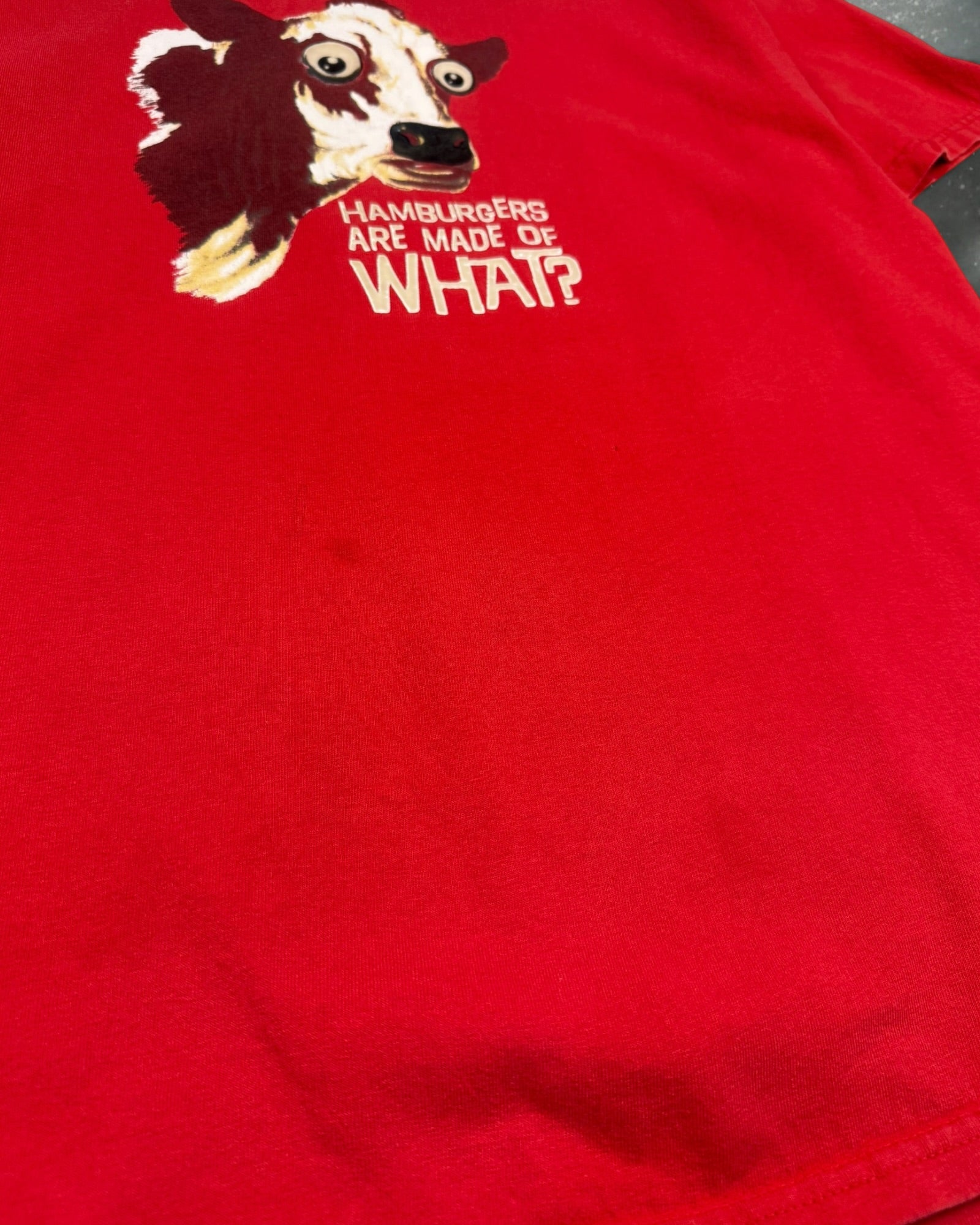 ‘00s Vegan Parody Tee Sz. L