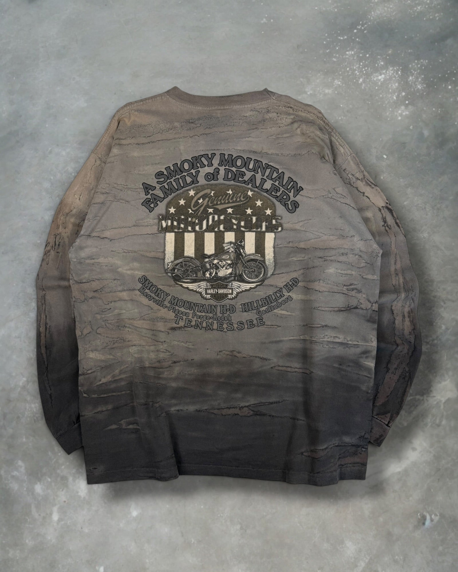 ‘90s Harley Davidson Gradient Ling Sleeve Sz. XL