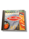 ‘95 Beach Boys CD
